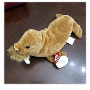 TY Beanie Baby Paul the Walrus DOB February 23, 1999 TAG ERRORS